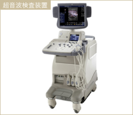 経口電子内視鏡