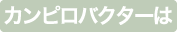 カンピロバクター